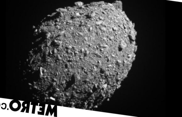 Nasa reveals final images taken by Dart before it pummeled an asteroid