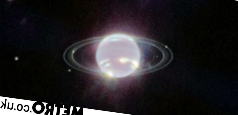 Neptune's elusive rings pictured by the James Webb Space Telescope