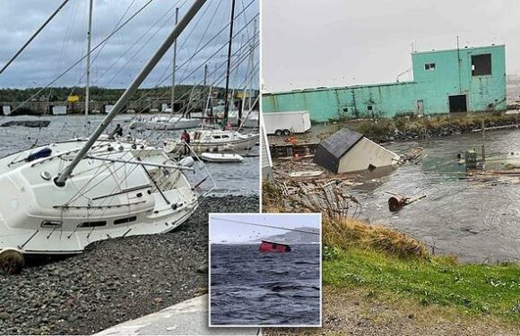 Newfoundland town is DESTROYED by Fiona but no deaths reported