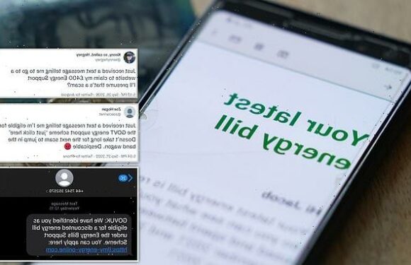 Ofgem issues warning over new energy rebate text message scam