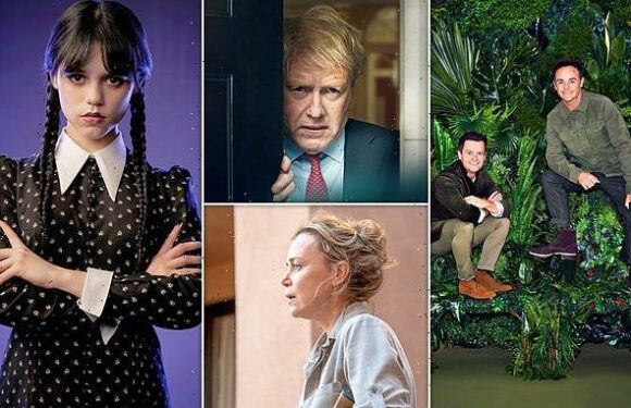 Our autumn TV special!