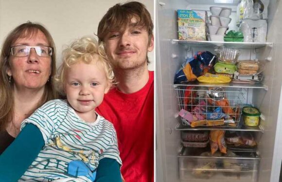 Our kids went without dinner after we were left without power for 11 hours – I had to throw out £60 of food | The Sun