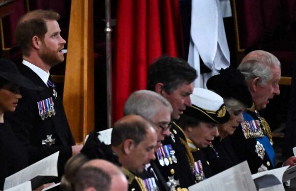 Palace reveals why Prince Harry sat behind King Charles in second row for Queen’s funeral – and not next to William | The Sun