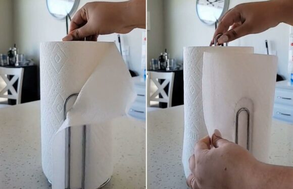 People are only just discovering the ‘mind-blowing’ real use of paper towel holder | The Sun