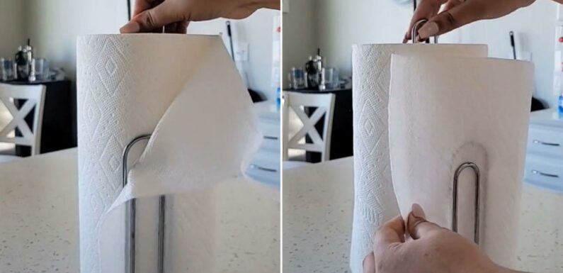 People are only just discovering the ‘mind-blowing’ real use of paper towel holder | The Sun