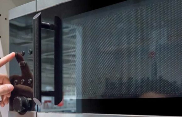 People are only just realising why microwaves windows are not see-through and have those black dots on the windows | The Sun