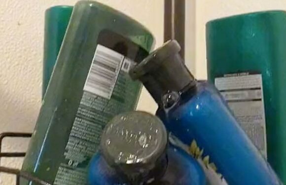 People are only just realizing how you're meant to use shower racks & it's so much easier | The Sun