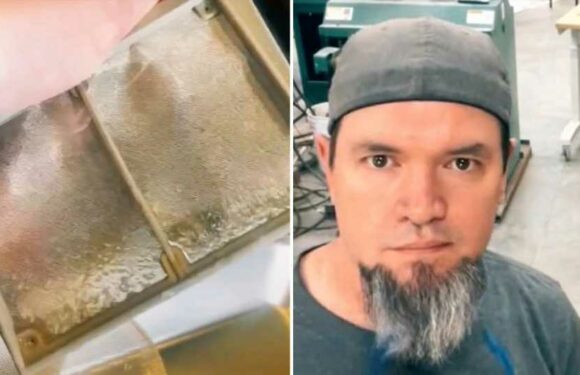 People are only just realizing what the panel on the bottom of dishwashers is for & it could be the reason it smells bad | The Sun