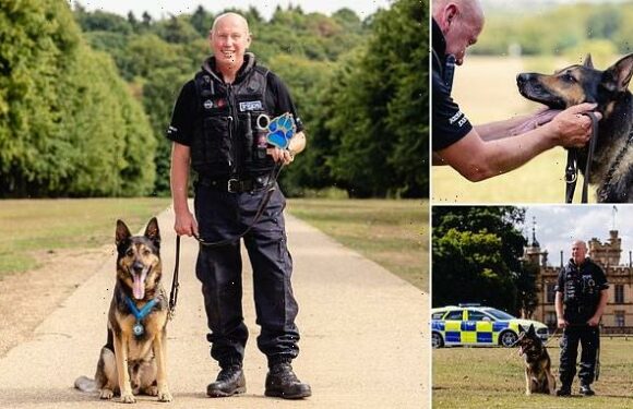 Police dog who survived three headshots is honoured for his bravery