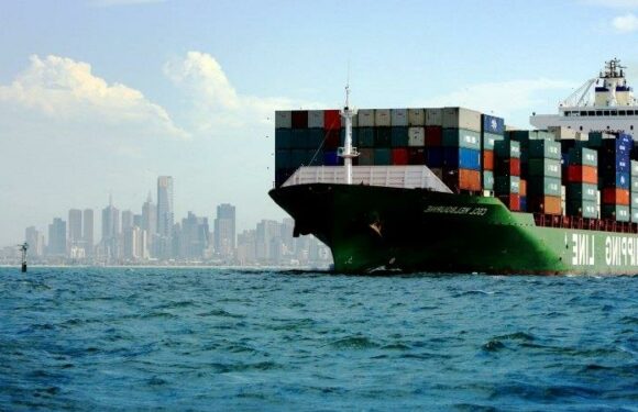 Port Phillip sea pilots fear new operator will drive ‘race to the bottom’