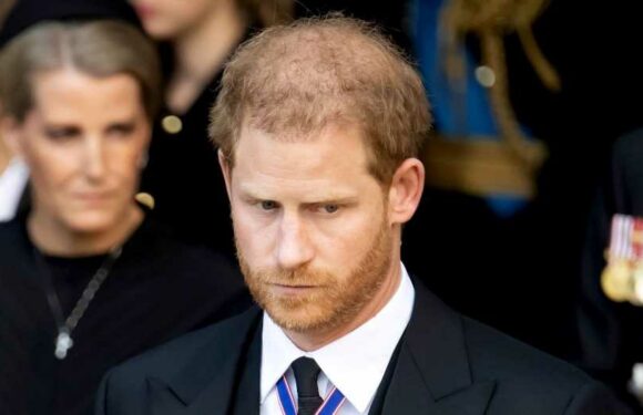 Prince Harry Will Be Allowed to Wear Military Uniform at Queen's Vigil