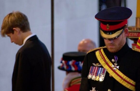 Prince Harry stands firm in military uniform as he joins William at Westminster vigil