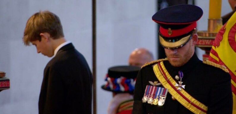 Prince Harry stands firm in military uniform as he joins William at Westminster vigil