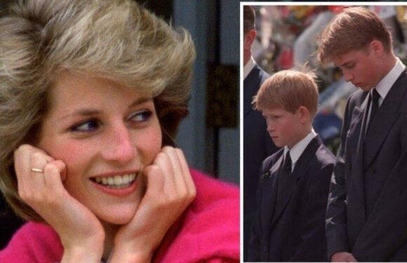Prince Harry was affected more than William by Diana funeral