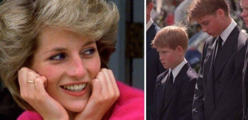 Prince Harry was affected more than William by Diana funeral