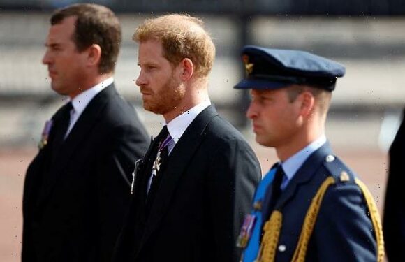 Prince William and Prince Harry are reunited for Queen's procession