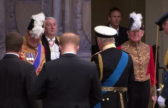 Prince William and Prince Harry are seen together at Queen's funeral