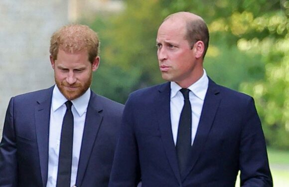 Prince William was relieved when brother Harry moved to the US, claims new book