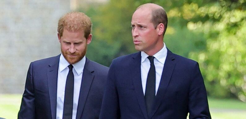 Prince William was relieved when brother Harry moved to the US, claims new book