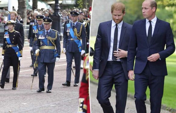 Princes William and Harry join King Charles as Queen’s coffin leaves palace