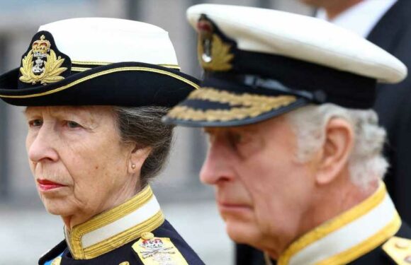Princess Anne Walks With Her Brothers Behind Queen's Coffin at Funeral