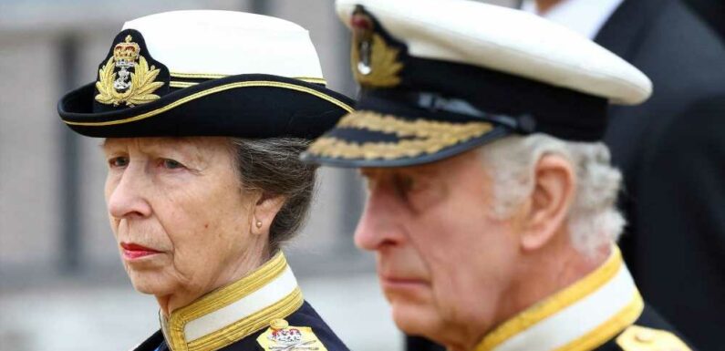 Princess Anne Walks With Her Brothers Behind Queen's Coffin at Funeral