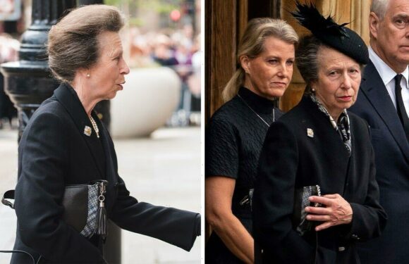 Princess Anne dons bag with sweet nod to Queen every day this week