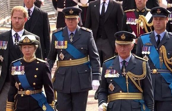Princess Anne supports King Charles as they walk behind Queen's coffin