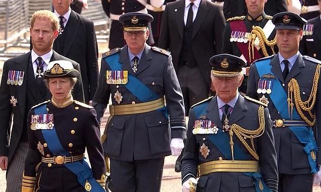 Princess Anne supports King Charles as they walk behind Queen's coffin