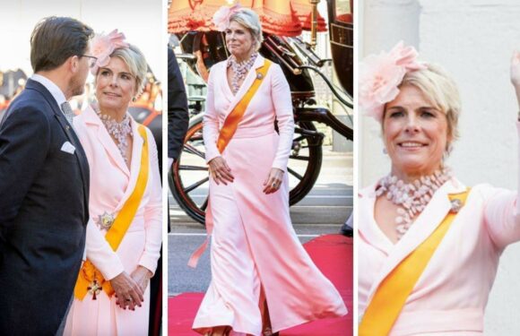 Princess Laurentien stuns in candy floss pink for Prince’s Day