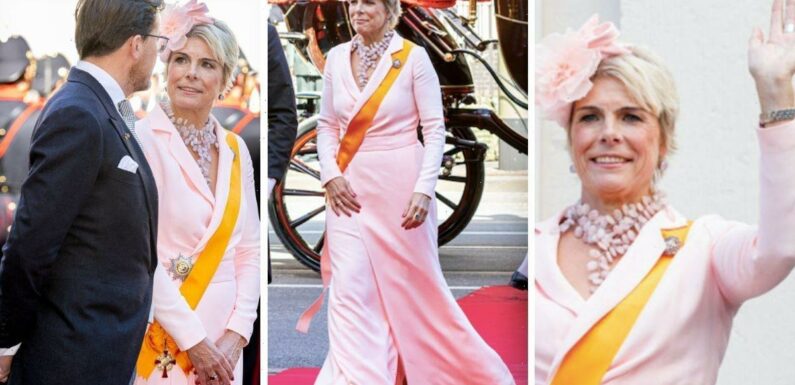 Princess Laurentien stuns in candy floss pink for Prince’s Day