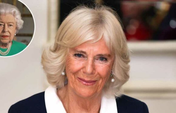 Queen Camilla: 'We're Doing Our Best' After Queen Elizabeth's Death
