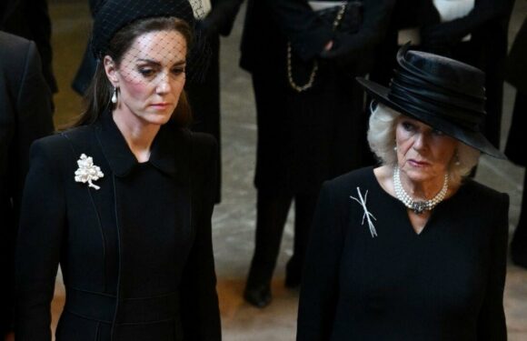 Queen Camilla opts for poignant brooch with no royal link – pictures
