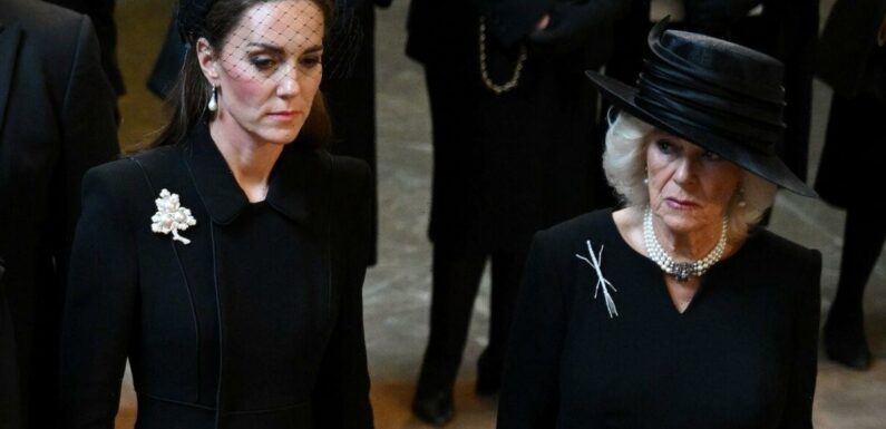 Queen Camilla opts for poignant brooch with no royal link – pictures