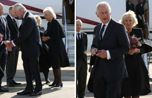 Queen Camilla pays homage to Ireland with shamrock brooch