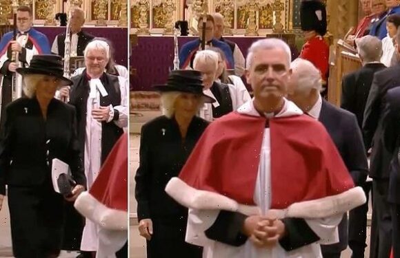 Queen Consort Camilla loses footing but recovers perfectly