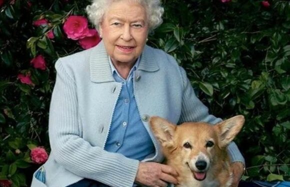 Queen’s corgis likely ‘to be depressed’ following her death says dog whisperer
