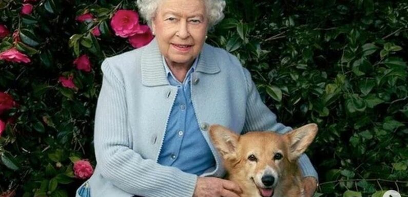 Queen’s corgis likely ‘to be depressed’ following her death says dog whisperer