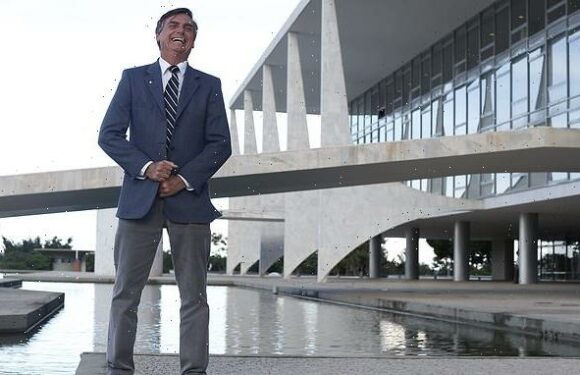 ROLAND WHITE reviews last night's TV: Boys from Brazil and Harry Hill