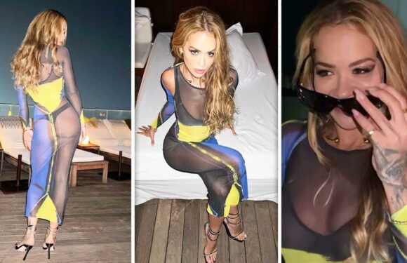 Rita Ora dares to bare as she poses in see-through dress and thong