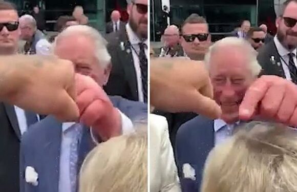 Royal fist bump: King Charles gives VERY non-traditional greeting