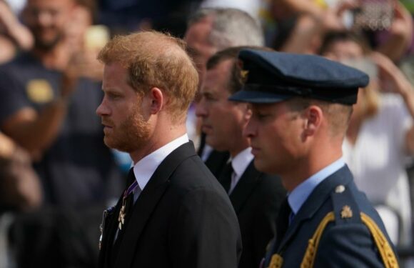 Royalist: King Charles is still very worried about Prince Harrys memoir