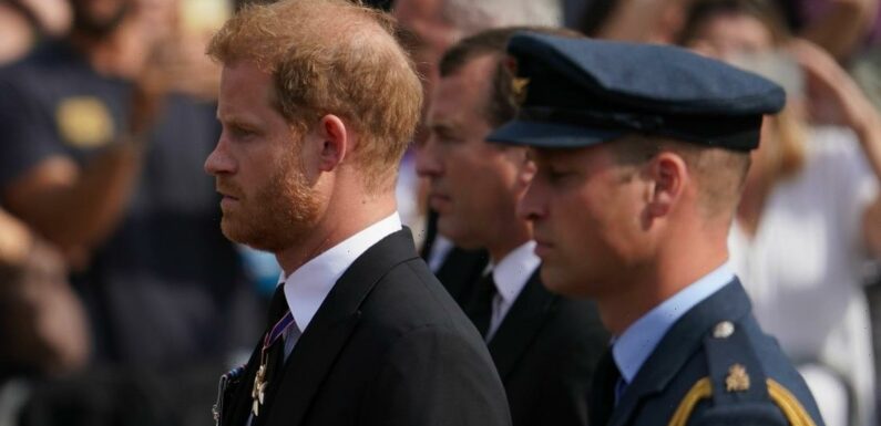 Royalist: King Charles is still very worried about Prince Harrys memoir