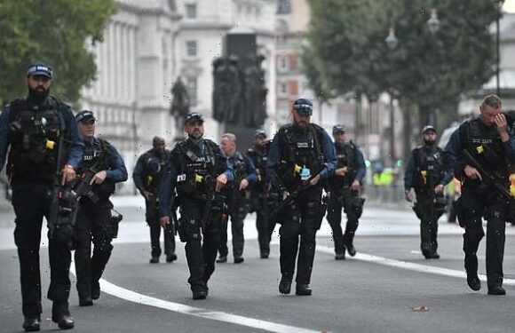 SAS units will be on standby to defend London and The Queen's funeral