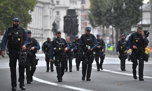 SAS units will be on standby to defend London and The Queen's funeral
