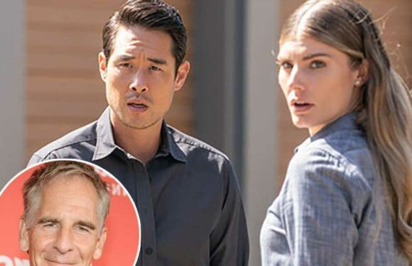 Scott Bakula Discusses 'Very Difficult' Decision to Pass on Quantum Leap Reboot