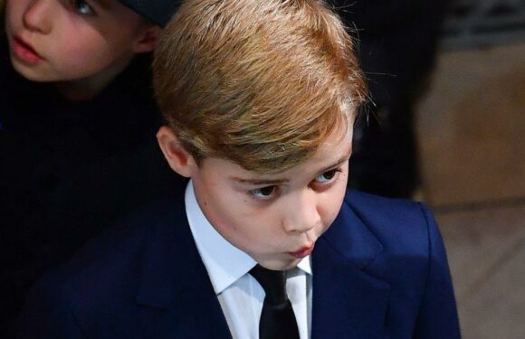 Sophie Wessex comforts Prince George after he wipes away tears at Queen’s funeral