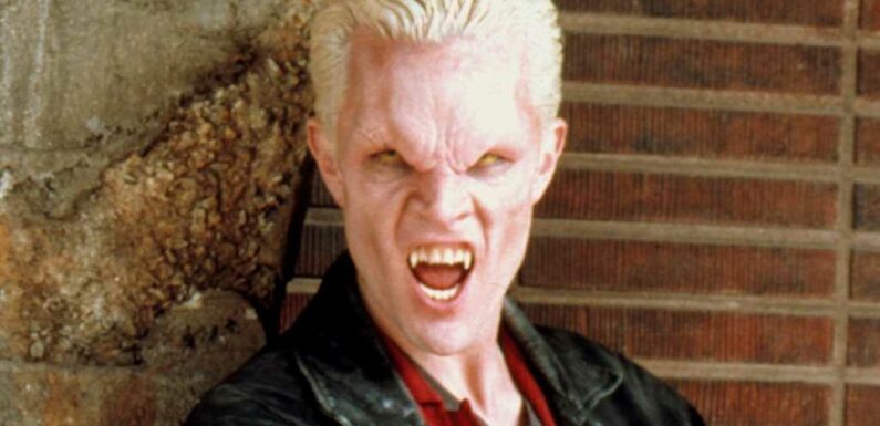 Spike on 'Buffy The Vampire Slayer' 'Memba Him?!
