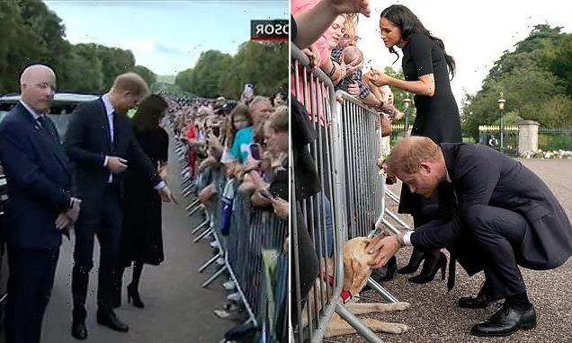 Sweet moment Prince Harry called Meghan over to look at dog in Windsor