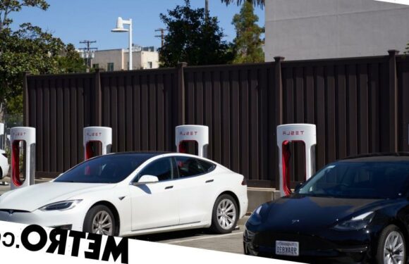 Tesla recalls over 1,000,000 cars because the windows can crush your fingers